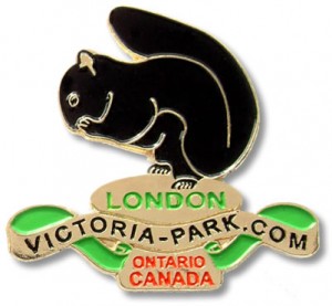 pin-vpc-ebay[1]